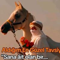 allah___sev