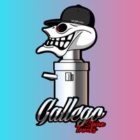 gallego_shinetrucks