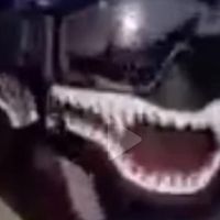 savagewafflesatyoutube