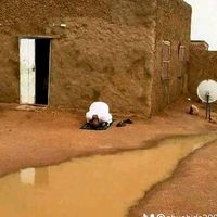 الصوت الأصلي