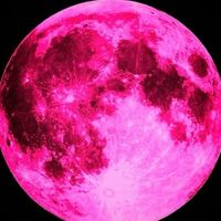 _random_stuff_261