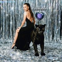 cacheee.teamblackdiamons