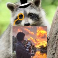 properraccoonedits