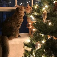 _christmas_1290