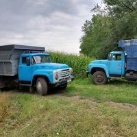 staskovalshyk