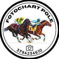 fotochartpole