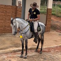 daniloalmeida19