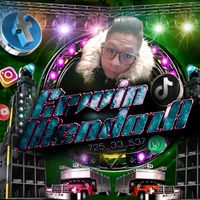ERWIN DJ GATO