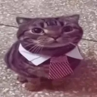 original sound - staggeredprdx