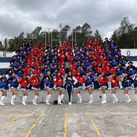 bastonerasgrancolombia