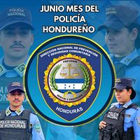 dnpsc_pnh