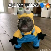 mxccreee