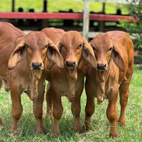 haciendaelparaiso236