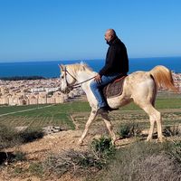 oussamaabdennour2