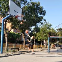 savareljic