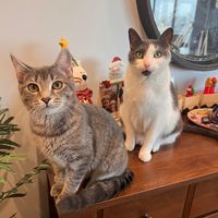 gatsby.and.daisy