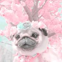 _ad0px..yurix_