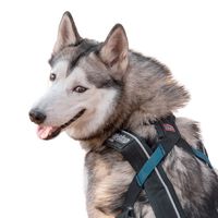 huskysport_henk