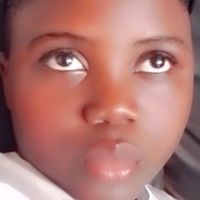 68254569nimprisca