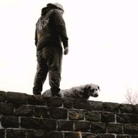 scampi_xcxbxl