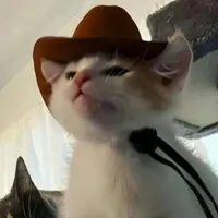 original sound - petslover1194