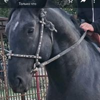 rustam.kasap8622
