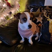 mullengrace4
