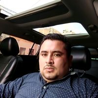 gatitobosquesdenoruega