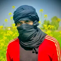 original sound - wolf_fitness_124