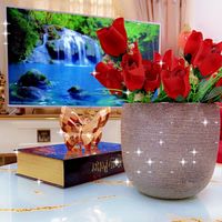 الصوت الأصلي