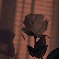 vividelacruzcardenas