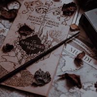 thehogwartsstories