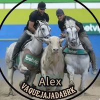 alex_vaquejadabrk