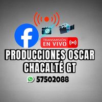 p.oscarchacaltegt