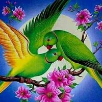 amarte fue un sueño