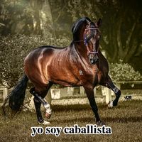 yosoycaballista