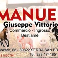 ingroscommerciobestiameg