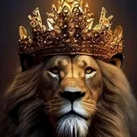 original sound - ging.52