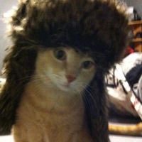 оригинальный звук