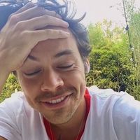 harrys.gucci.loafers