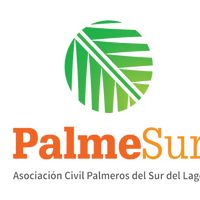 palmesur.ve