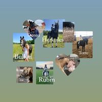 vmrk_equestrians