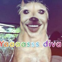 basicallysavage1