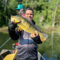 pereiira_7