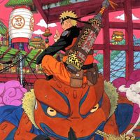 navcollects13