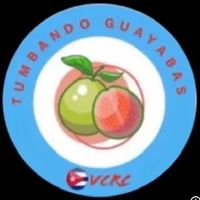tumbandoguayabas4