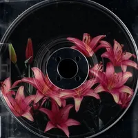 original sound - speedsoundsxzx