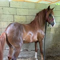 elherrero002