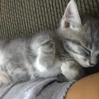 original sound - marye_211