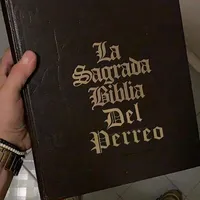 original sound - lryicsreggaeton